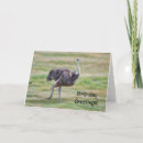 Recherche de autruche drôle vœux cartes Nature