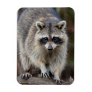 Recherche de loto magnets Jardin
