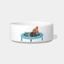 Suche nach disc wohnen zuhause Katze