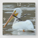 Suche nach pelikan wanduhren Wasservögel
