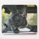 Suche nach seitenansicht mousepads Spaß