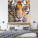 Suche nach tierbilder poster Tiger