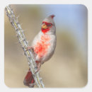 Recherche de désert rouge autocollants Nature