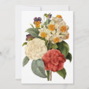 Recherche de narcisses invitations Fleurs