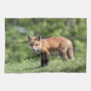 Suche nach roter fuchs geschirr tücher Wild
