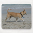 Suche nach pam mousepads Meer