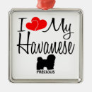 Suche nach havaneser ornamente Havanisch