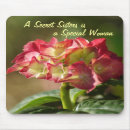 Recherche de grande soeur tapis souris Grand mère