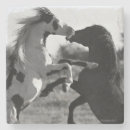 Suche nach stallions untersetzer Wild