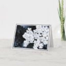 Suche nach knoblauch karten Blüten