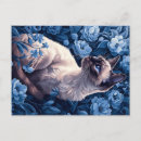 Suche nach blaue maus postkarten Mäuse