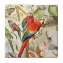Recherche de oiseau rouge carreaux Animaux