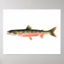 Suche nach eisfischen poster Fliegenfischen