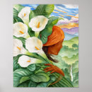 Suche nach weißer calla poster Lilies