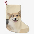 Recherche de corgi chaussette de noël Pembroke