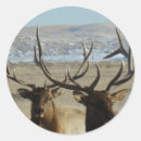 Suche nach elche geschenkverpackung Wapiti