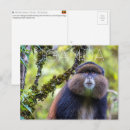 Suche nach uganda postkarten Afrika