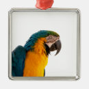 Suche nach papageien ornamente Tiere