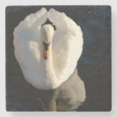 Recherche de photographie paysage de dessous de verres Lac