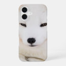 Recherche de arctique iphone coques Renard