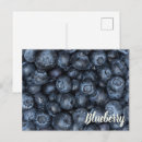 Recherche de bleuet cartes postales Cuisine