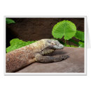 Suche nach komodo drache Monitor