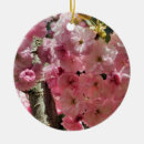Suche nach frühlings blumen ornamente Blüten