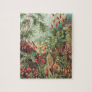 Recherche de der puzzles Kunstformen der natur