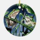 Suche nach frosch ornamente Natur