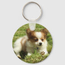 Suche nach papillon hund schlüsselanhänger Welpe