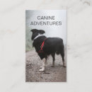 Recherche de soin de chien cartes visite Chaise