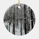 Suche nach ski ornamente Schnee