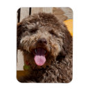 Suche nach kragen magnete Spaß