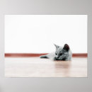 Recherche de scoot posters Minimaliste