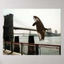 Suche nach orca poster Wal