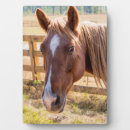 Recherche de cheval plaques Équitation