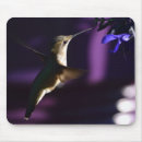 Recherche de colibris tapis souris Pour tous
