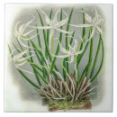 Suche nach orchid fliesen Natur