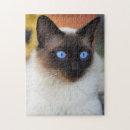 Recherche de de chat siamois puzzles Siamese