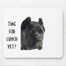 Recherche de mastiff français tapis souris Amoureux des chiens