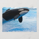 Recherche de aquariums invitations Baleine