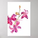 Suche nach rosa orchideen poster Aquarell