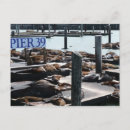 Suche nach seelöwen postkarten Sealion