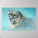 Suche nach schneeleoparden poster Große katze