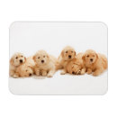 Suche nach goldene retriever magnete Niedlich
