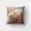 Suche nach frenchie kissen Tiere