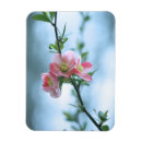 Recherche de apple magnets Pour elle