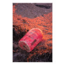 Recherche de rivage de plage posters Surf