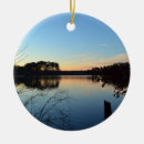 Suche nach baum silhouette ornamente Zweigstellen