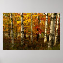 Suche nach waldplakat Holz